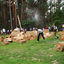 Seven event group56